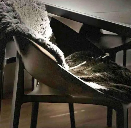 Design Apartment - Wohnen Mit Stil Und Komfort